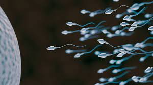 How to make sperm stronger for pregnancy naturally
