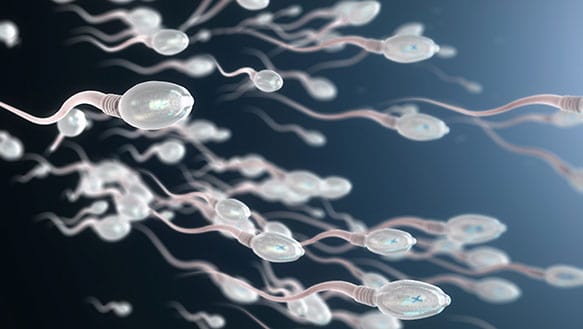 how-to-increase-sperm-count-for-diabetic-patient