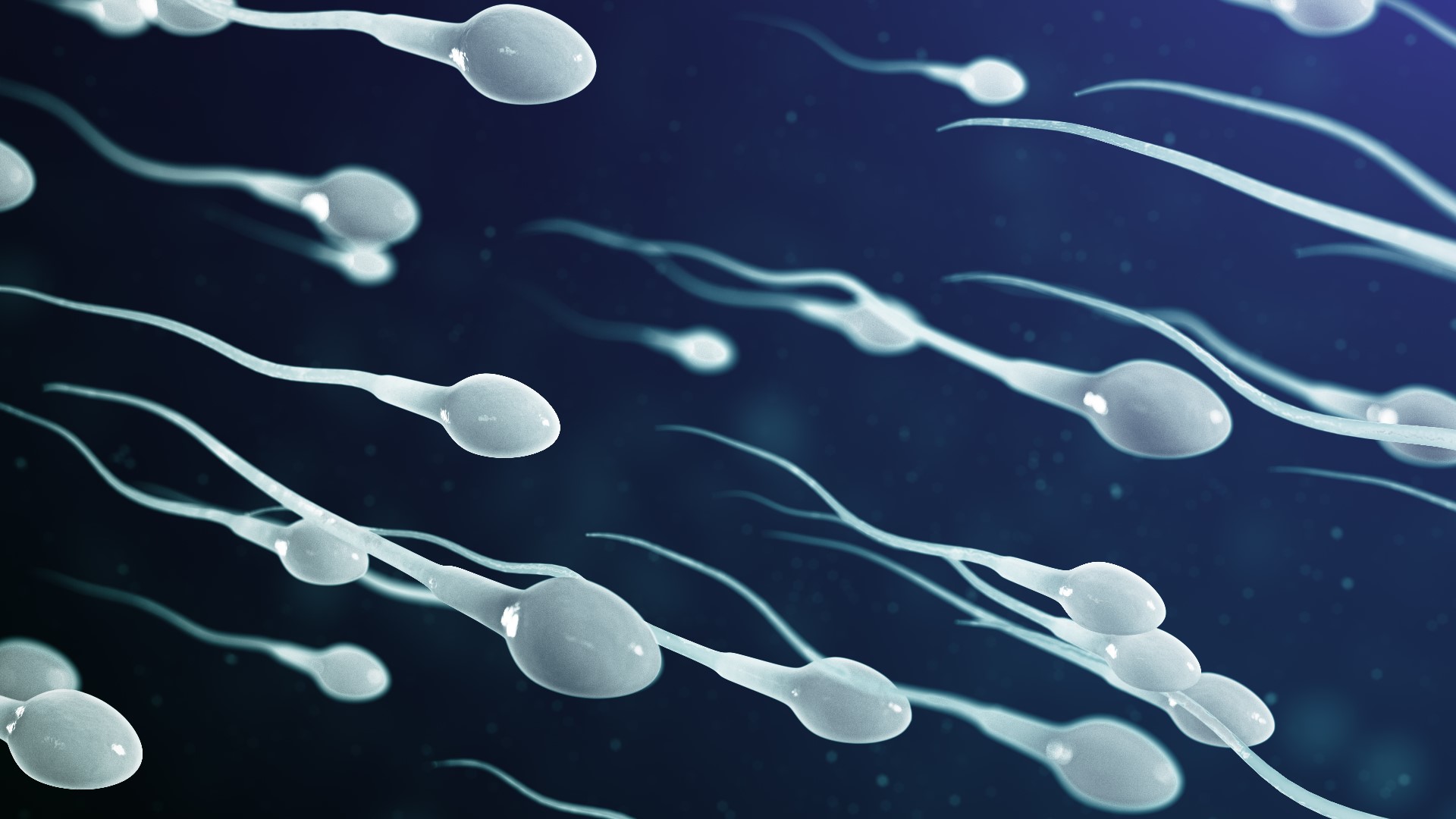 how to increase sperm count naturally in one week